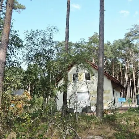 In Near Sandy Łukęcin