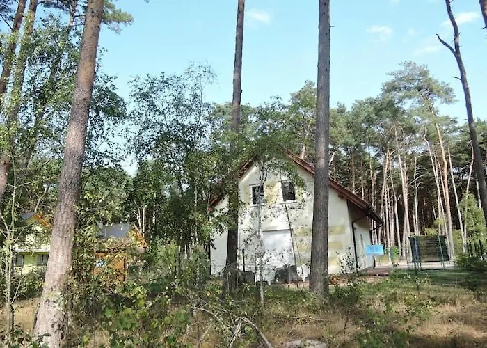 In Near Sandy Łukęcin